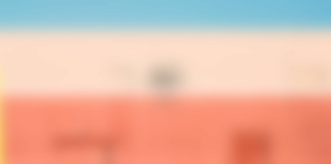 We love oriental food