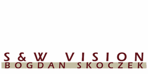 sw vision